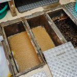 Grease Trap Cleaning
